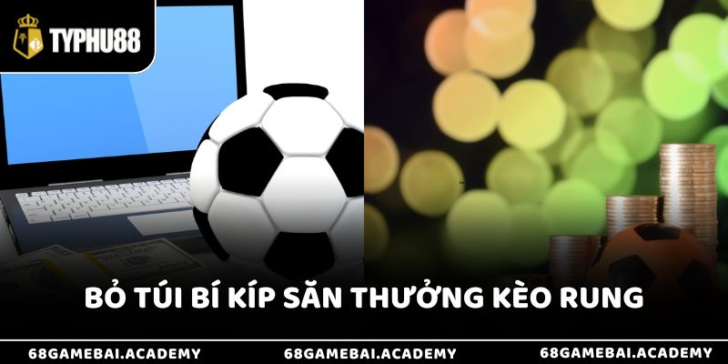 Kèo Rung Là Gì? Hướng Dẫn Cách Bắt Kèo Chuẩn Xác Cho Người Mới 4 Bỏ túi bí kíp săn thưởng kèo rung