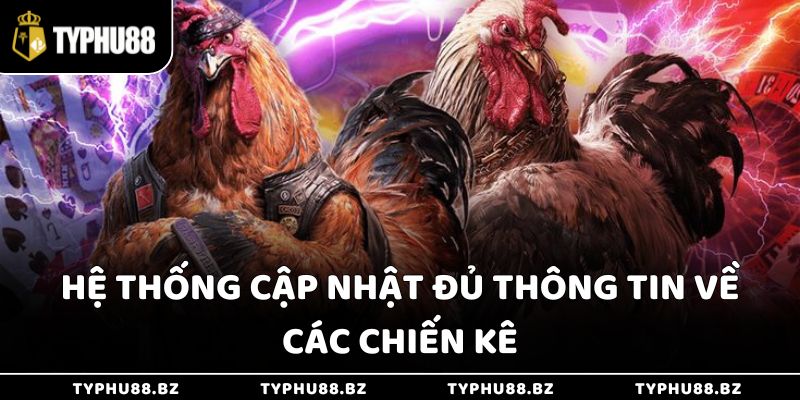 Sân Chơi Đá Gà 88 Trực Tuyến Hấp Dẫn Đa Dạng Hình Thức 4 Hệ thống luôn cập nhật đầy đủ thông tin về chiến kê