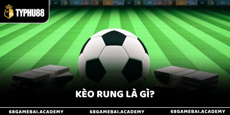 Kèo Rung Là Gì? Hướng Dẫn Cách Bắt Kèo Chuẩn Xác Cho Người Mới 1 Kèo Rung Là Gì? Hướng Dẫn Cách Bắt Kèo Chuẩn Xác Cho Người Mới
